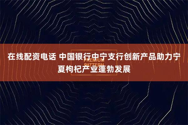 在线配资电话 中国银行中宁支行创新产品助力宁夏枸杞产业蓬勃发展