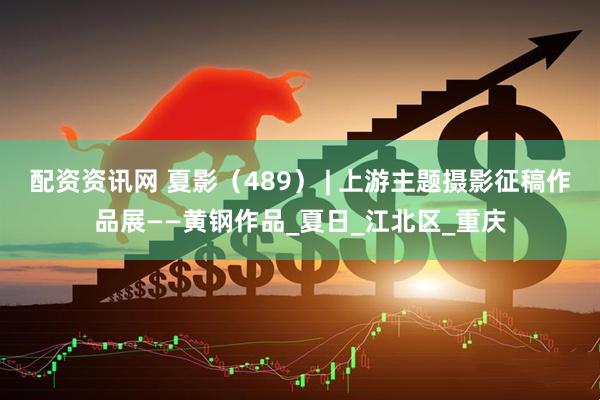 配资资讯网 夏影（489） | 上游主题摄影征稿作品展——黄钢作品_夏日_江北区_重庆