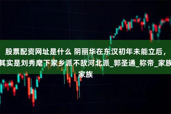 股票配资网址是什么 阴丽华在东汉初年未能立后，其实是刘秀麾下家乡派不敌河北派_郭圣通_称帝_家族